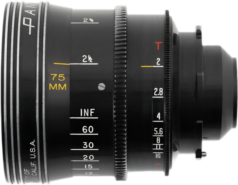 standardprime75.png